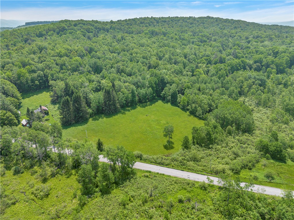 543 Middlefield Road Schenevus, NY 12155 - Photo 28 of 35