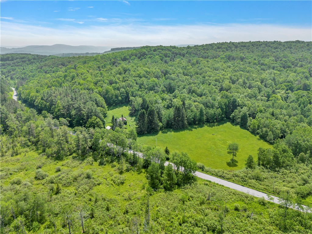 543 Middlefield Road Schenevus, NY 12155 - Photo 29 of 35