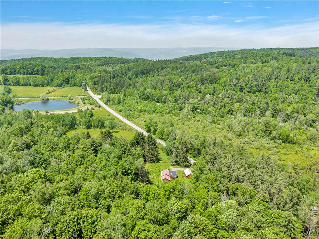 543 Middlefield Road Schenevus, NY 12155 - Photo 30 of 35