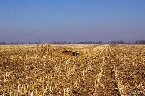 $1,386,000 | 0 Norton Woods Road, Elsberry, MO 63343