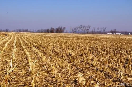 $1,386,000 | 0 Norton Woods Road, Elsberry, MO 63343