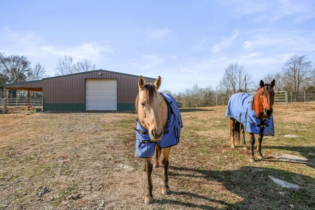 $1,999,900 | 3755 Holmes Gap Road, Watertown, TN 37184