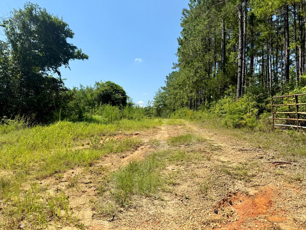 58 Conley Peavy Road Monticello, MS 39654 - Photo 11 of 17 Photo 11