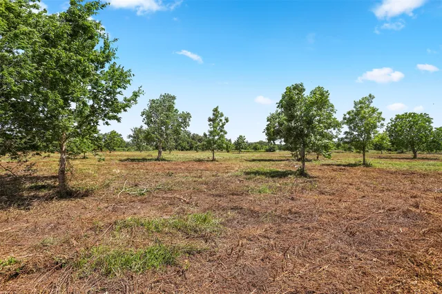 a view of open space with green field