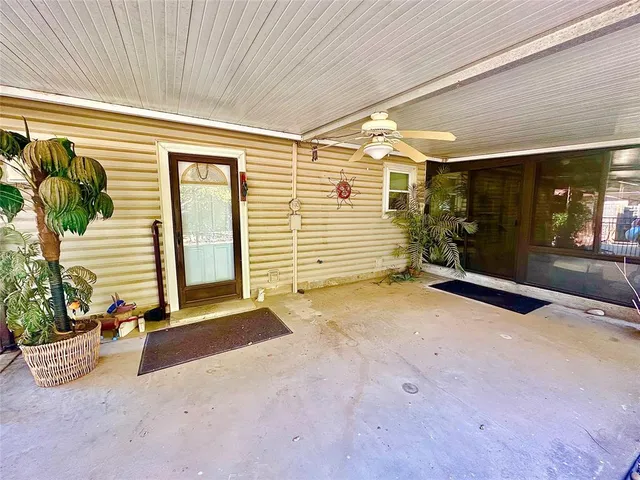 a flower plants is sitting in front of a tree