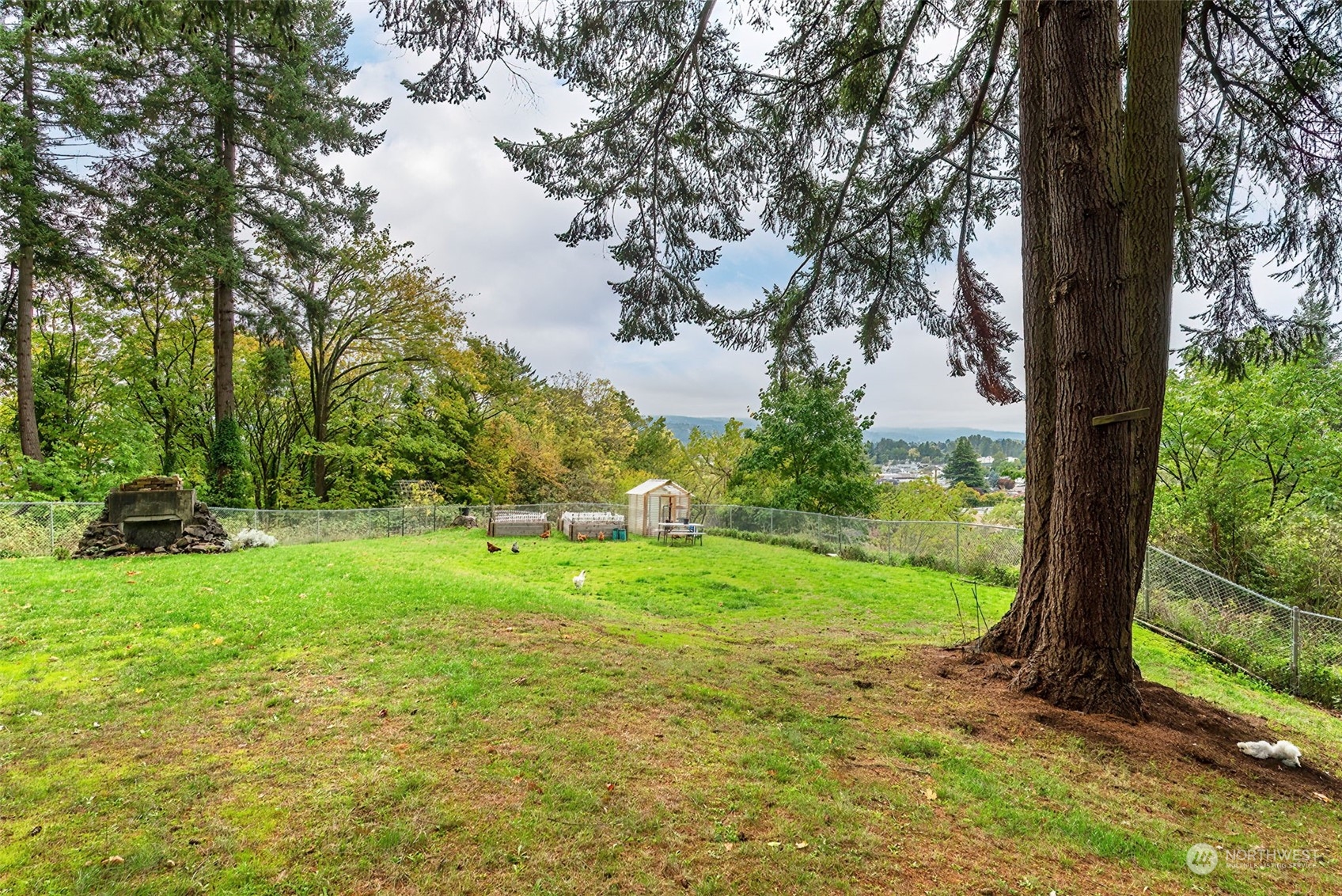 2320 West Castleman Street Longview, WA 98632 - Photo 31 of 36 a view of backyard with large trees