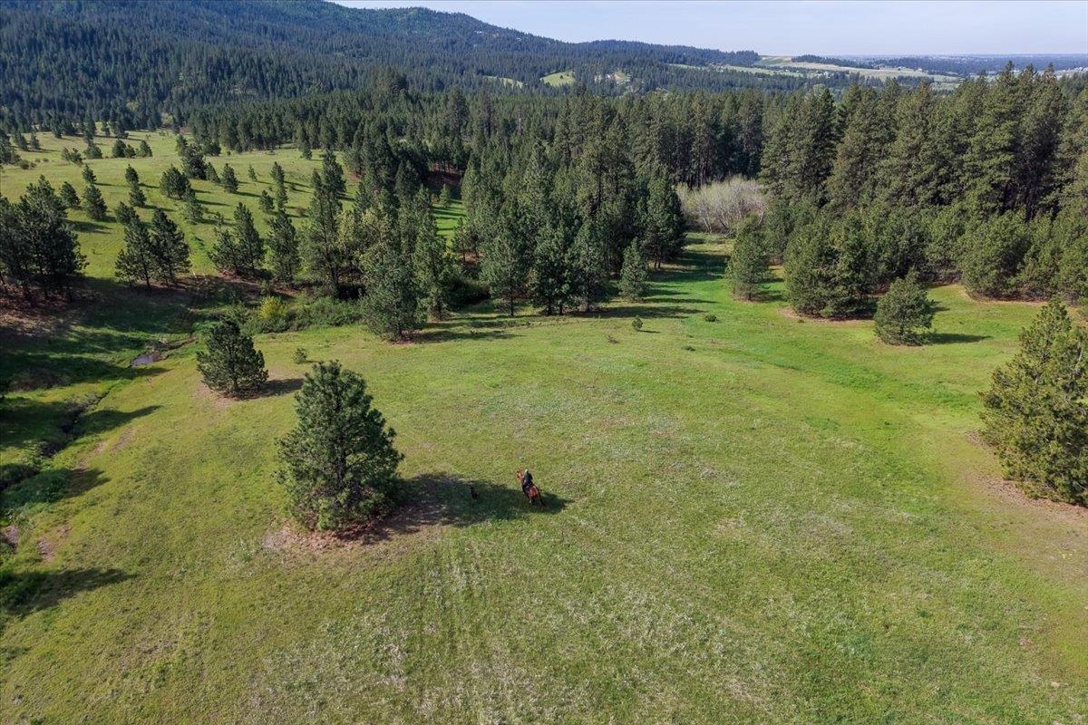 Tbd East Belmont Road Mica, WA 99023 - Photo 15 of 27