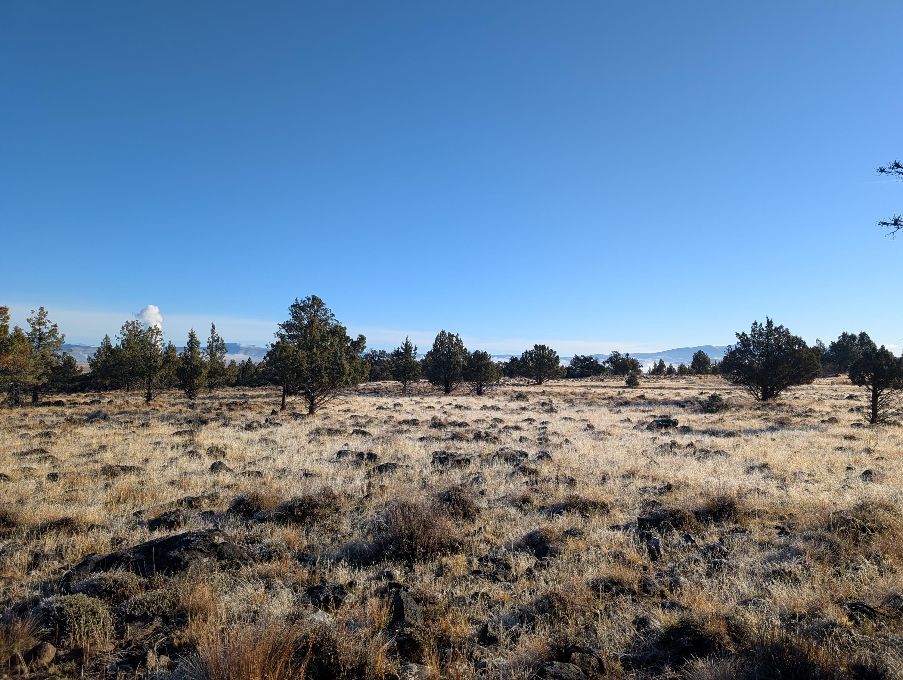 Cedar Trail Klamath Falls, OR 97603 - Photo 8 of 24 PXL_20251027_161753657