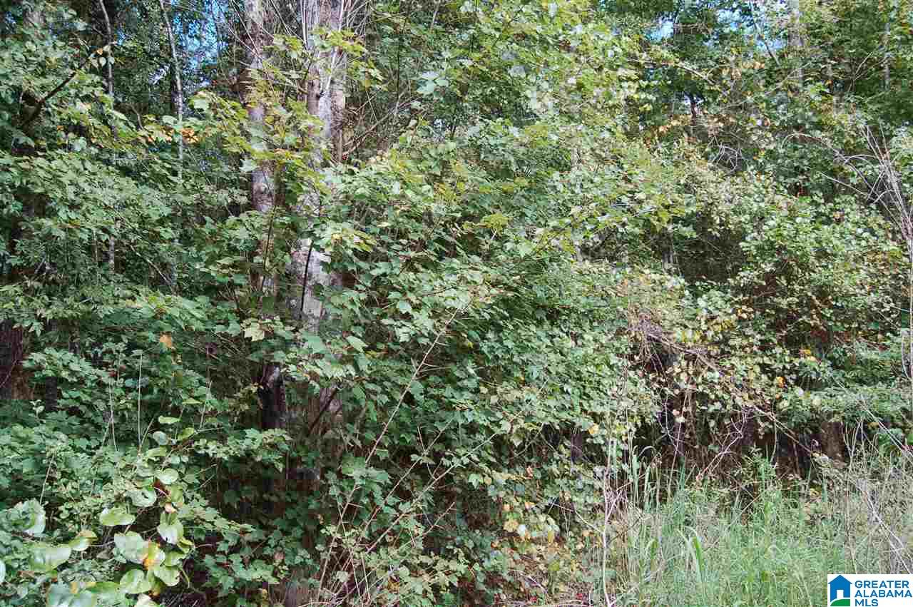 26-acres Old Shocco Road, Unit 26 ACRES Talladega, AL 35160 - Photo 5 of 10