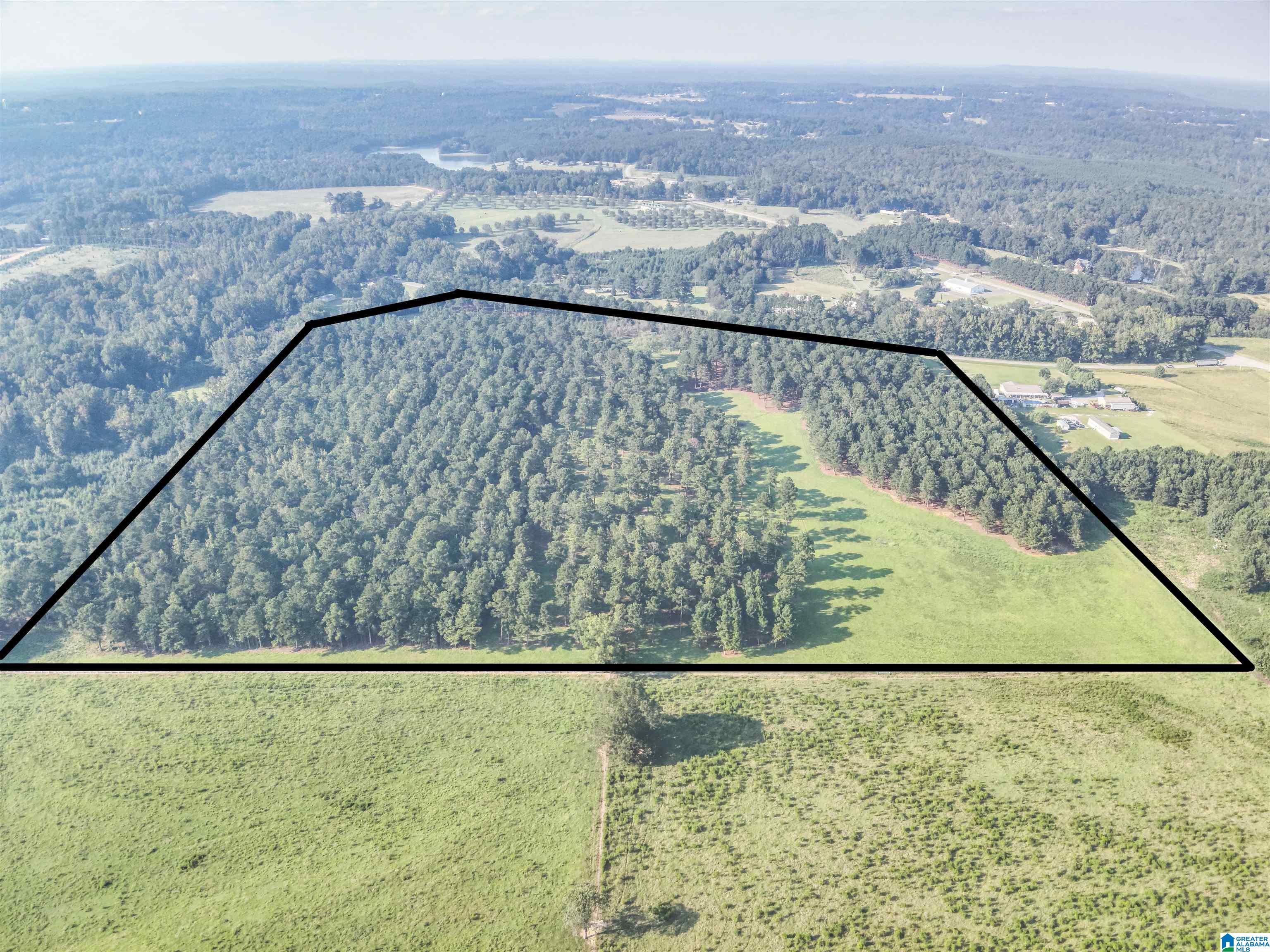 0 County Road 48, Unit 1 Jemison, AL 35085 - Photo 4 of 24