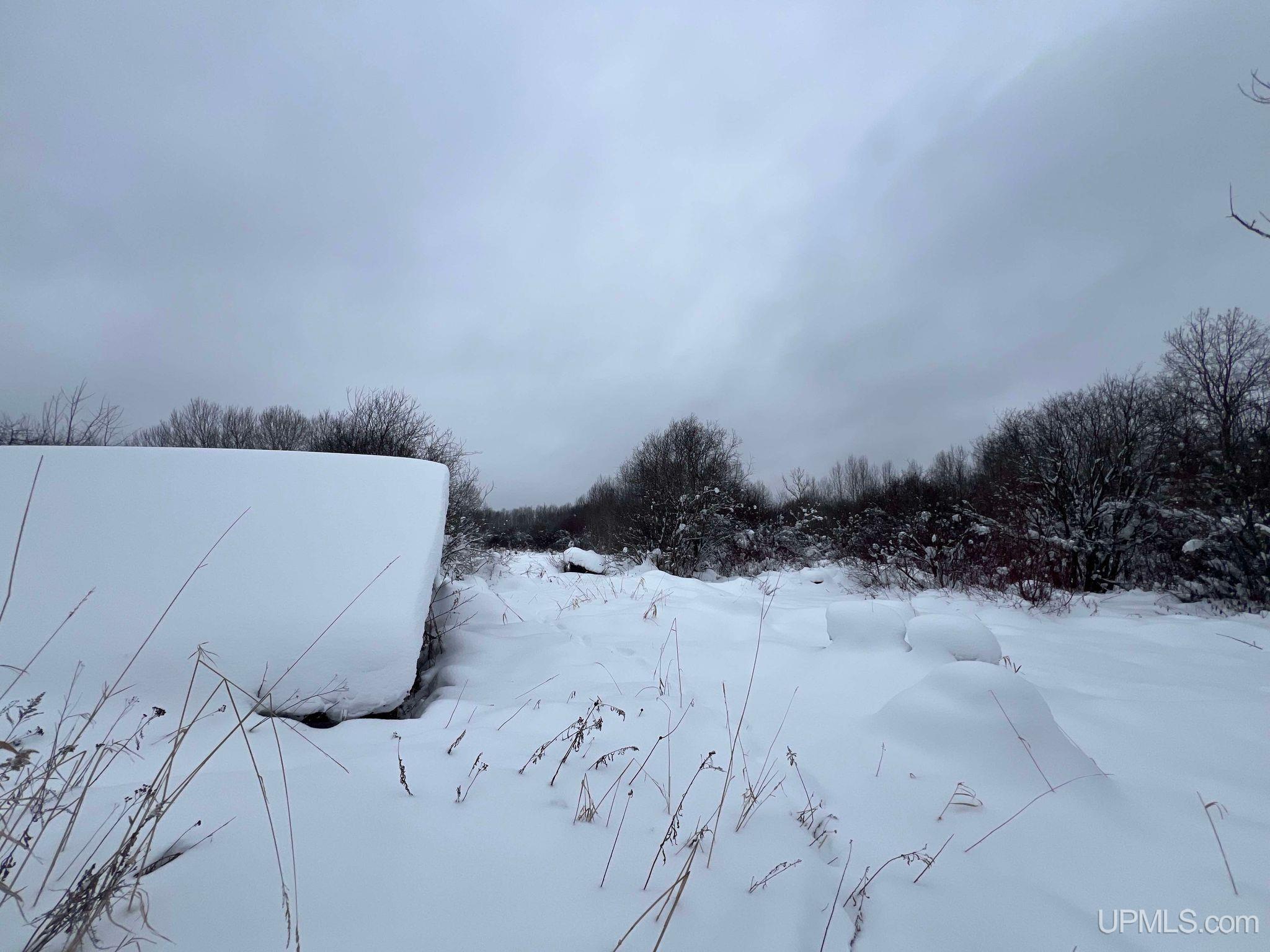 432 County Road Newberry, MI 49868 - Photo 9 of 9