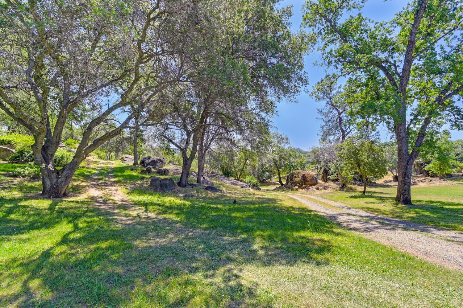 7333 Surette Lane Loomis, CA 95650 - Photo 37 of 42 a view of a yard with palm trees