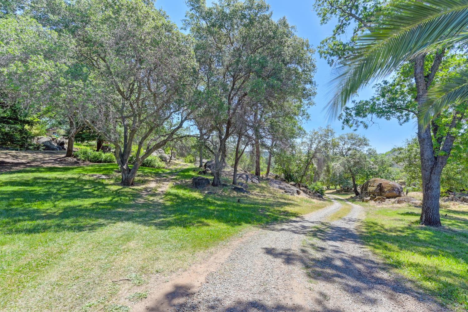 7333 Surette Lane Loomis, CA 95650 - Photo 38 of 42 a view of a yard with tree s