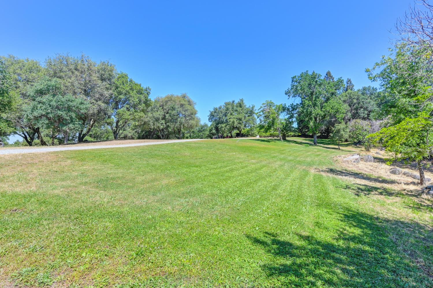 7333 Surette Lane Loomis, CA 95650 - Photo 39 of 42 a view of a field with trees in the background