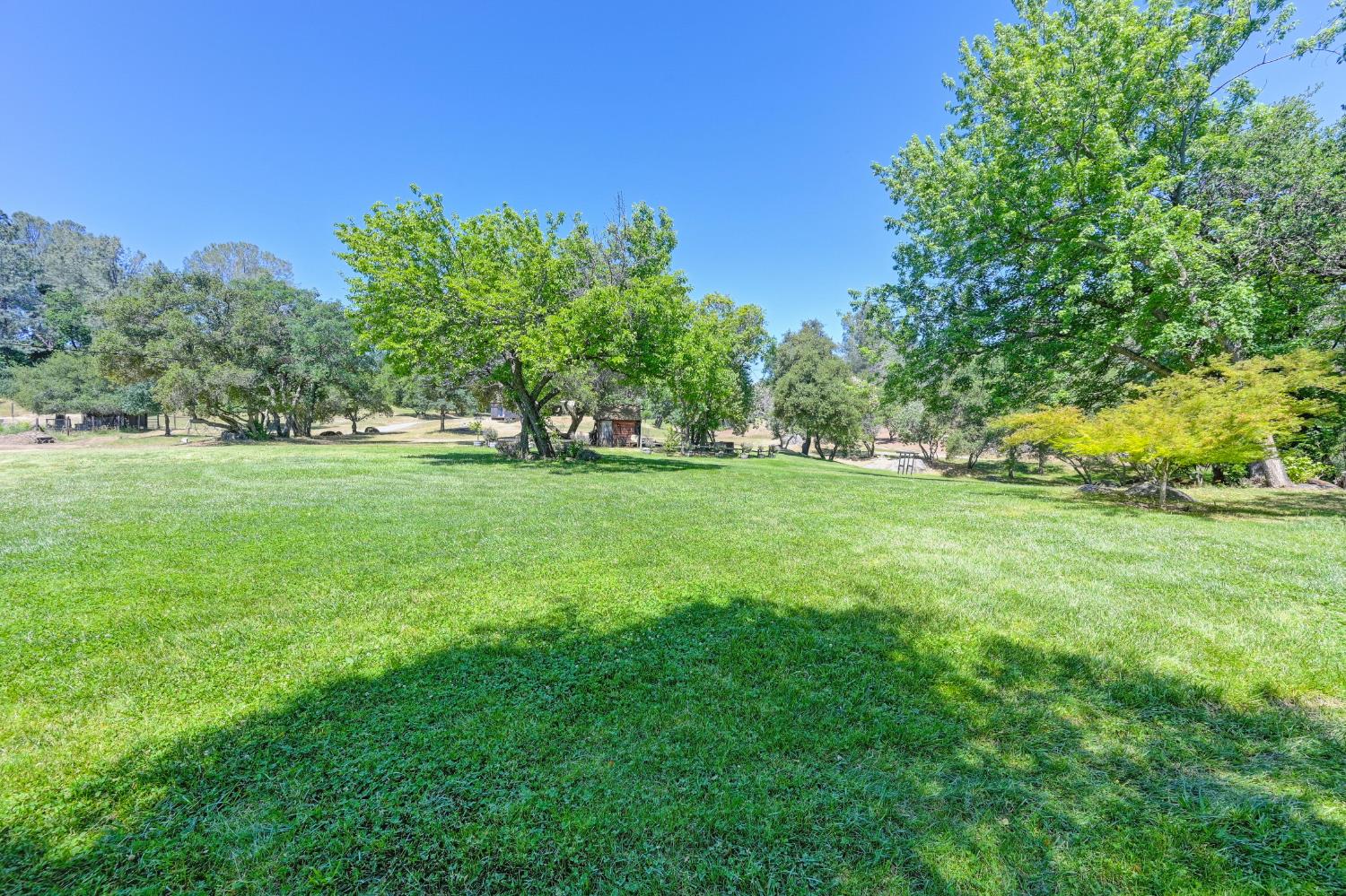 7333 Surette Lane Loomis, CA 95650 - Photo 40 of 42 a view of a grassy field with trees