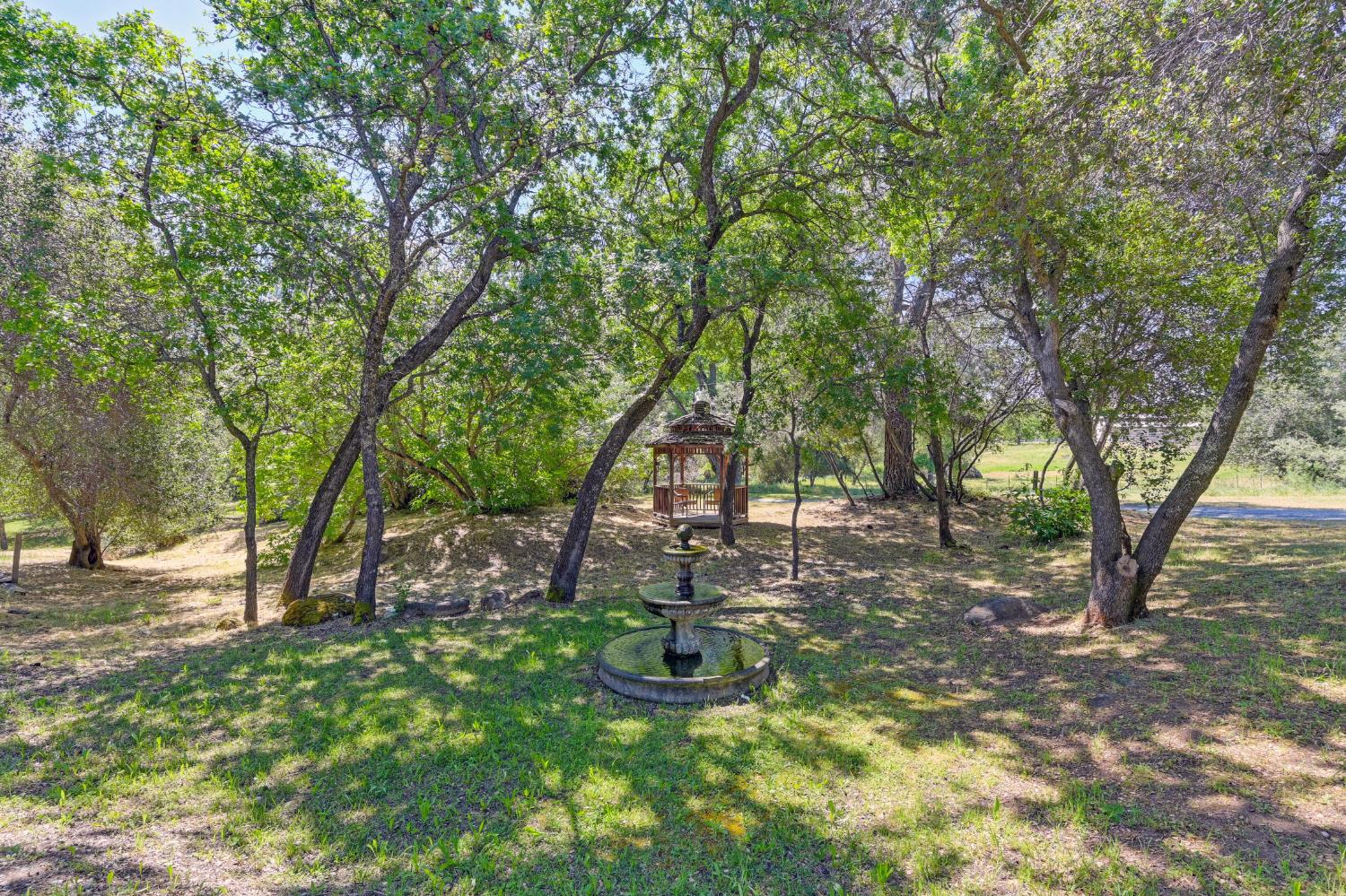 7333 Surette Lane Loomis, CA 95650 - Photo 41 of 42 a view of a garden with a tree