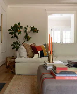 a living room with furniture and a potted plant
