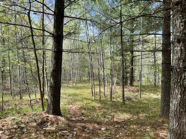 W8001 East Cataline Road Pembine, WI 54156 - Photo 23 of 27