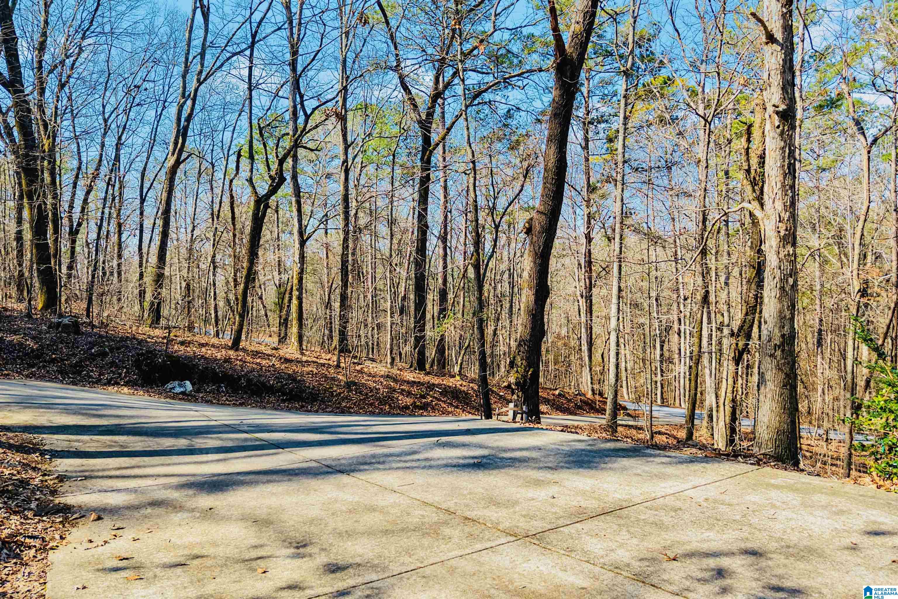 266 Davis Acres Drive Alpine, AL 35014 - Photo 59 of 60