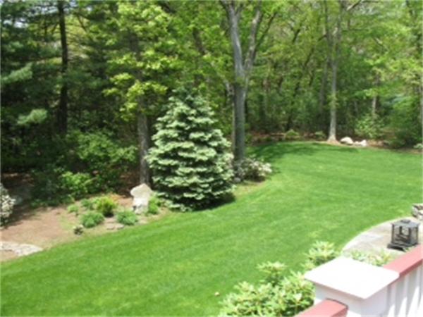 217 Westerly Road Weston, MA 02493 - Photo 4 of 16