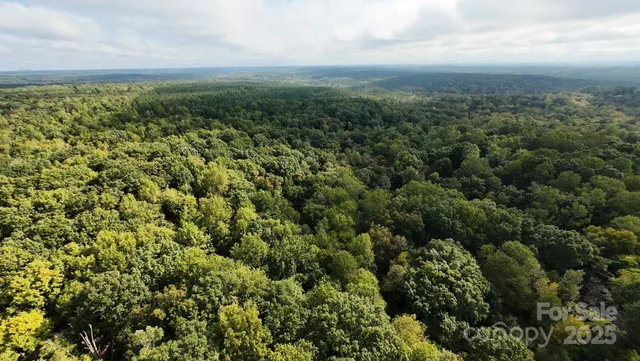 a view of a green field with lots of bushes
