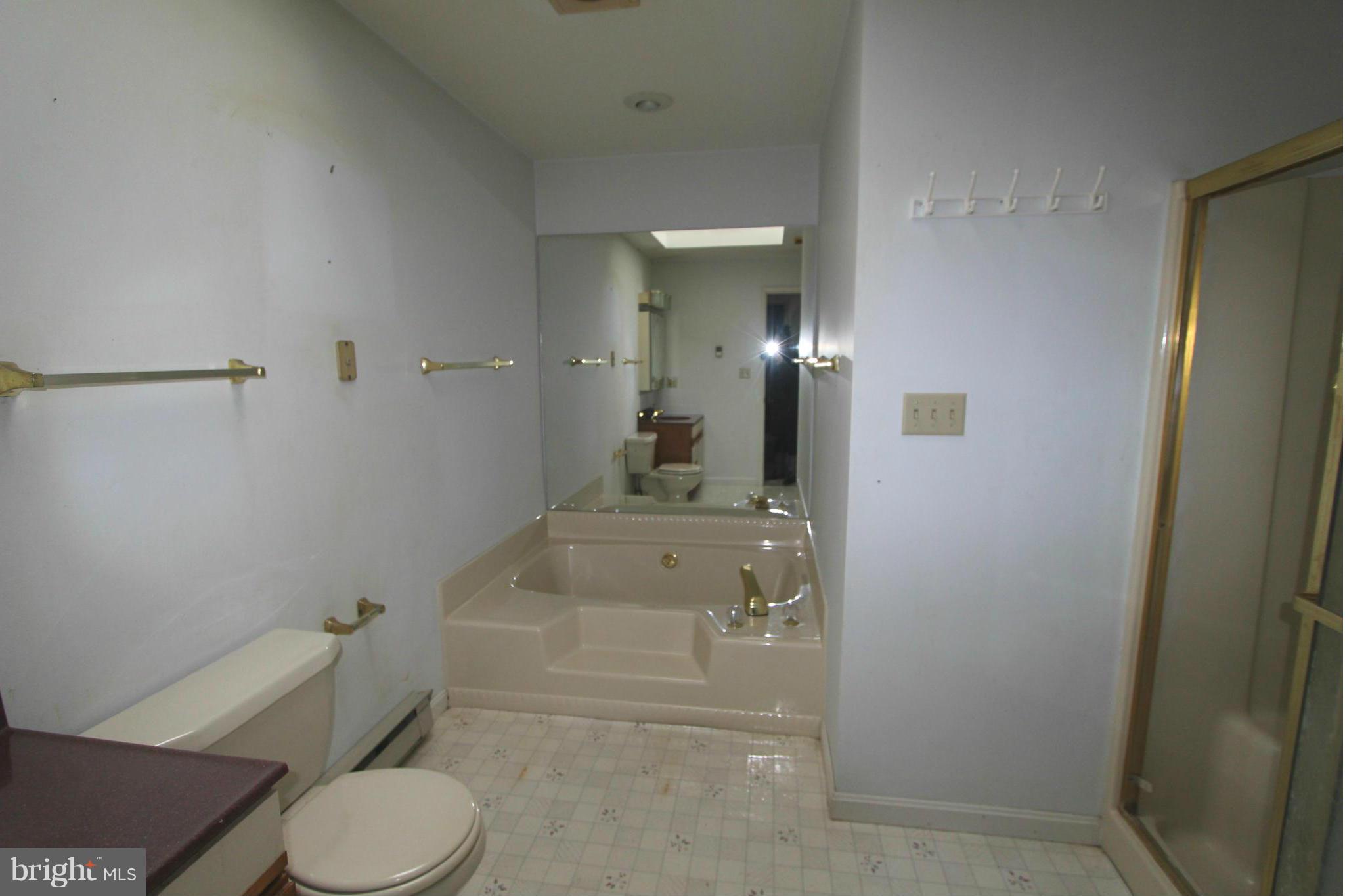 6198 Timber Ridge Road Berkeley Springs, WV 25411 - Photo 6 of 29 Bath (Master)