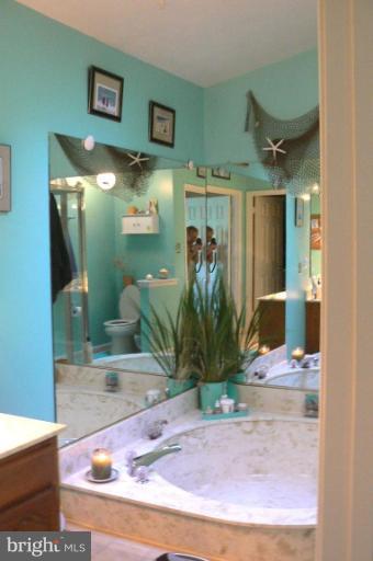 54 Carrollton Road Sterling, VA 20165 - Photo 7 of 11 Master Bath