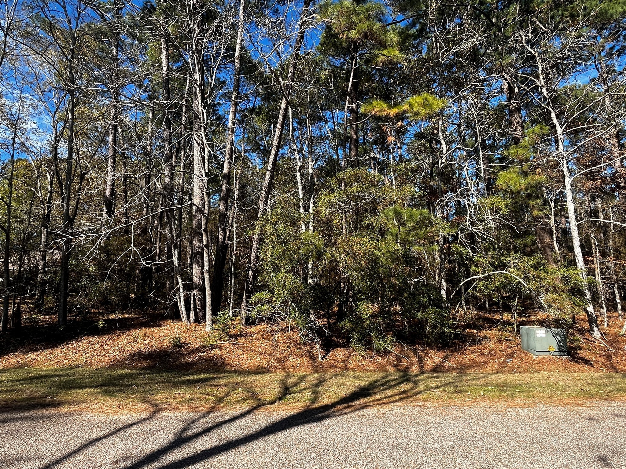 a view of a house with a tree