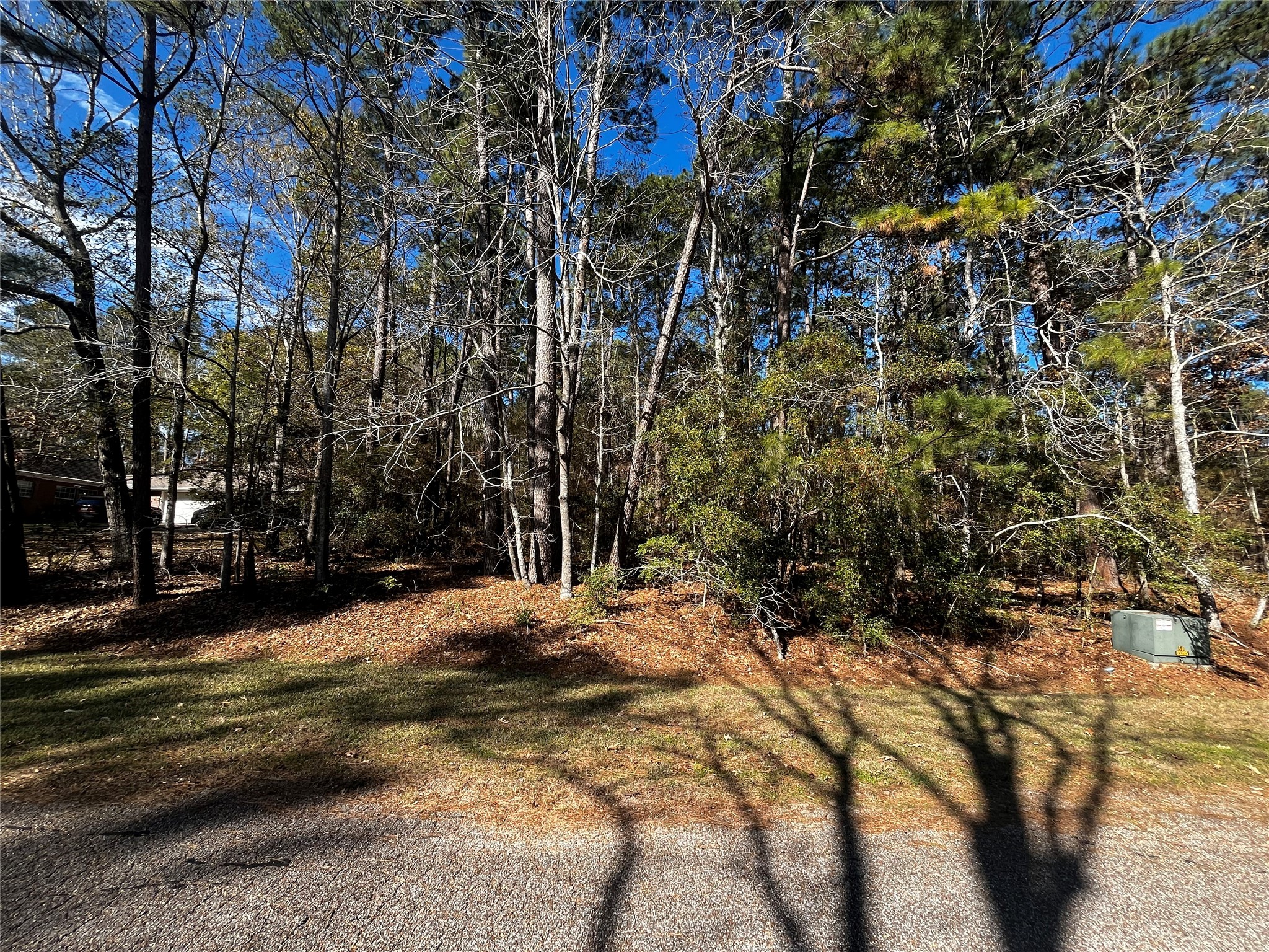 10 Wentworth Lane Coldspring, TX 77331 - Photo 2 of 15 a view of a yard with plants and trees