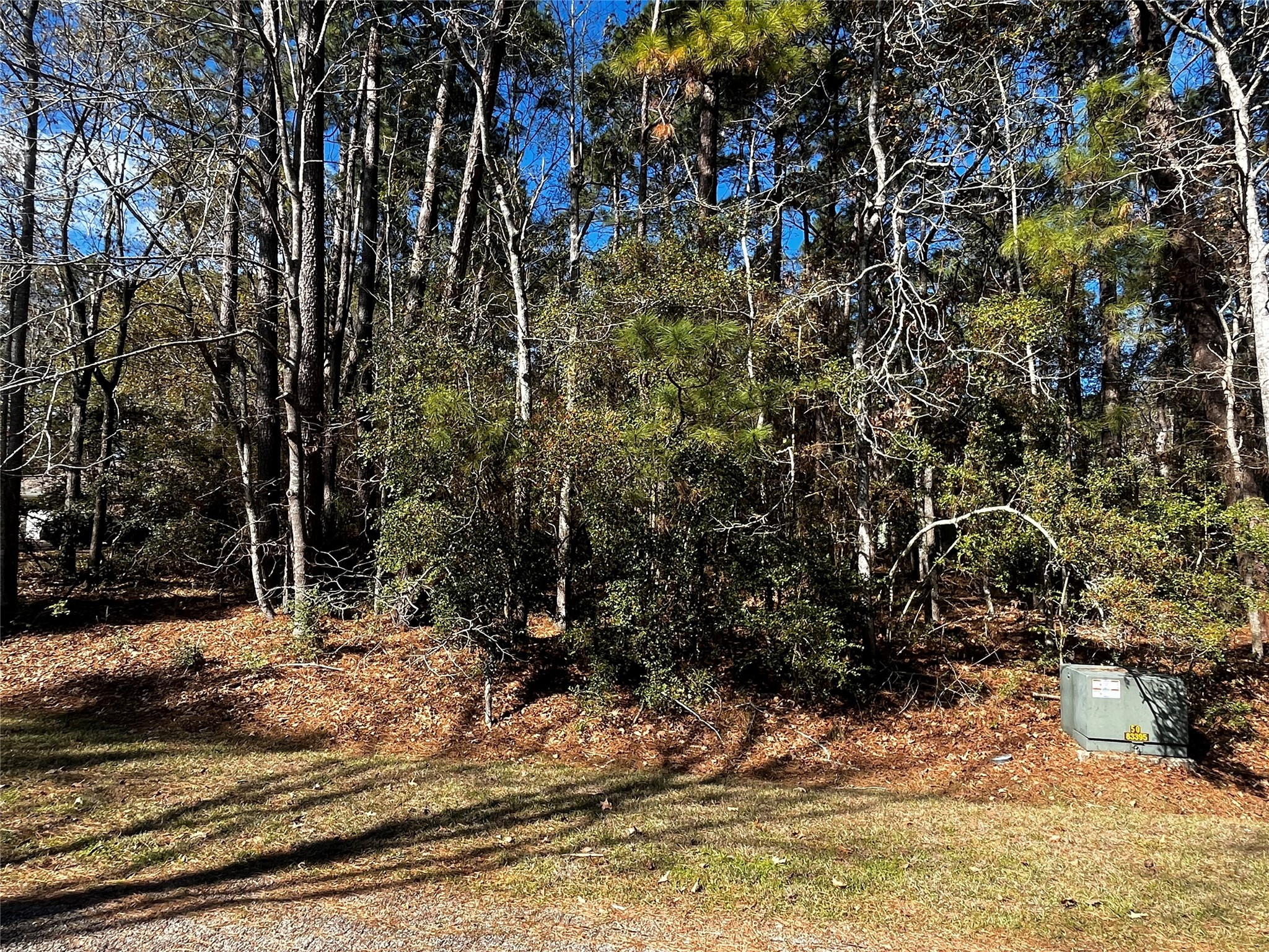 10 Wentworth Lane Coldspring, TX 77331 - Photo 3 of 15 a view of a yard with large trees