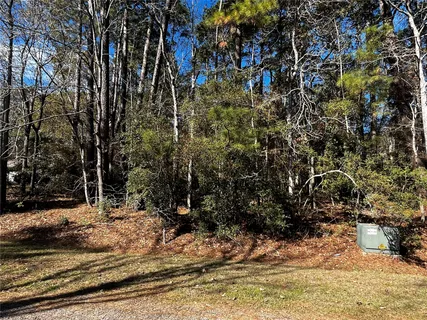 a view of a yard with large trees
