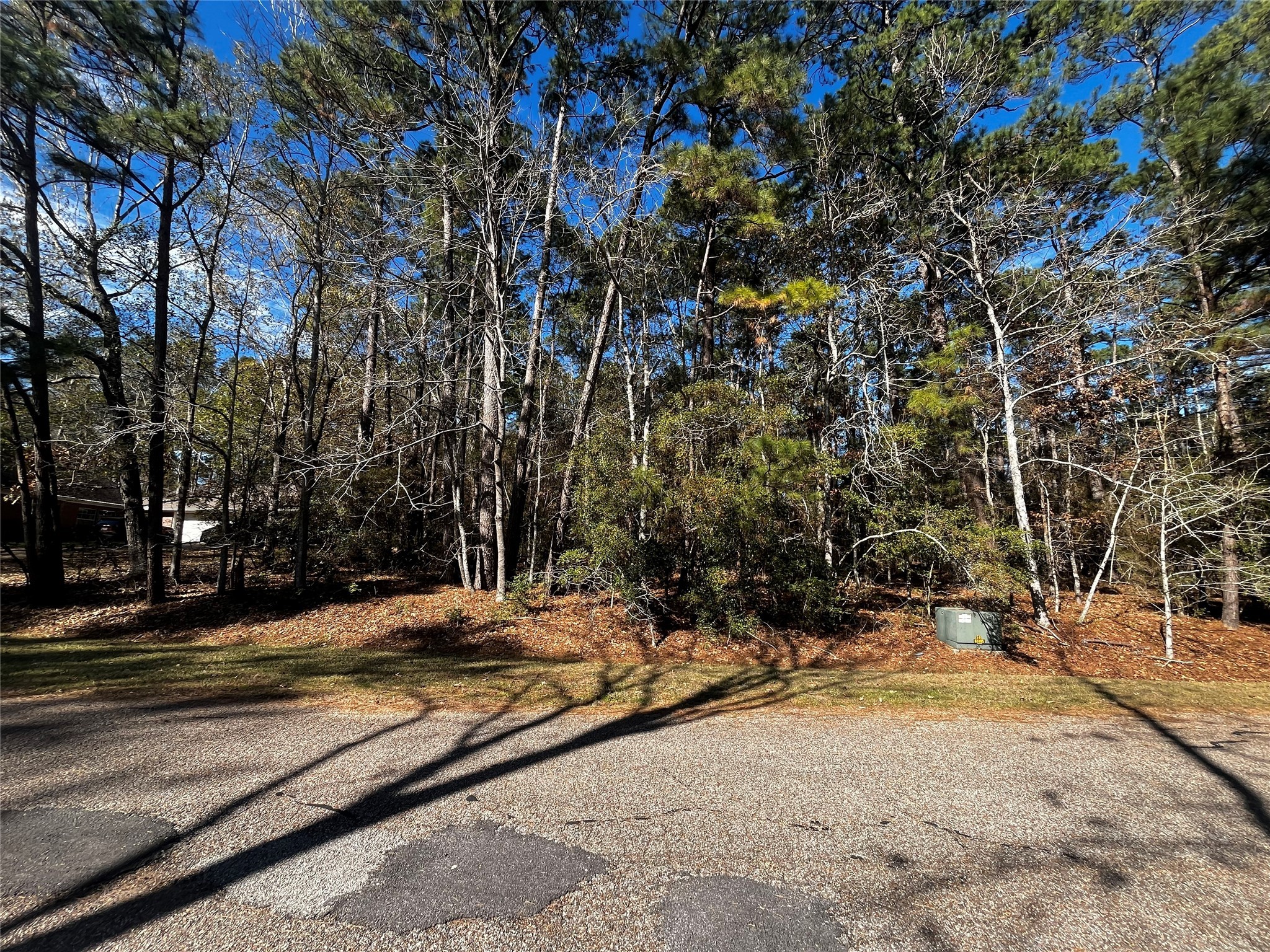 10 Wentworth Lane Coldspring, TX 77331 - Photo 4 of 15 a view of a yard with trees