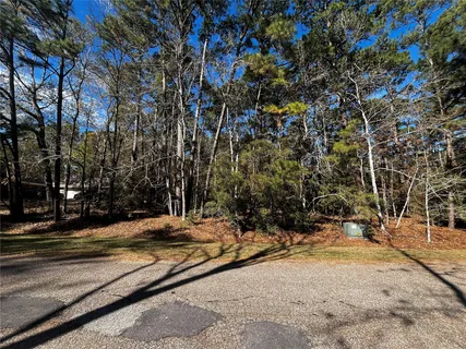 a view of a yard with trees