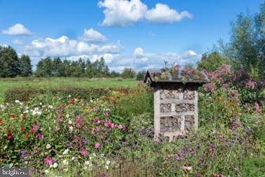 7040 Woodlands Green Road Brandywine, MD 20613 - Photo 34 of 34