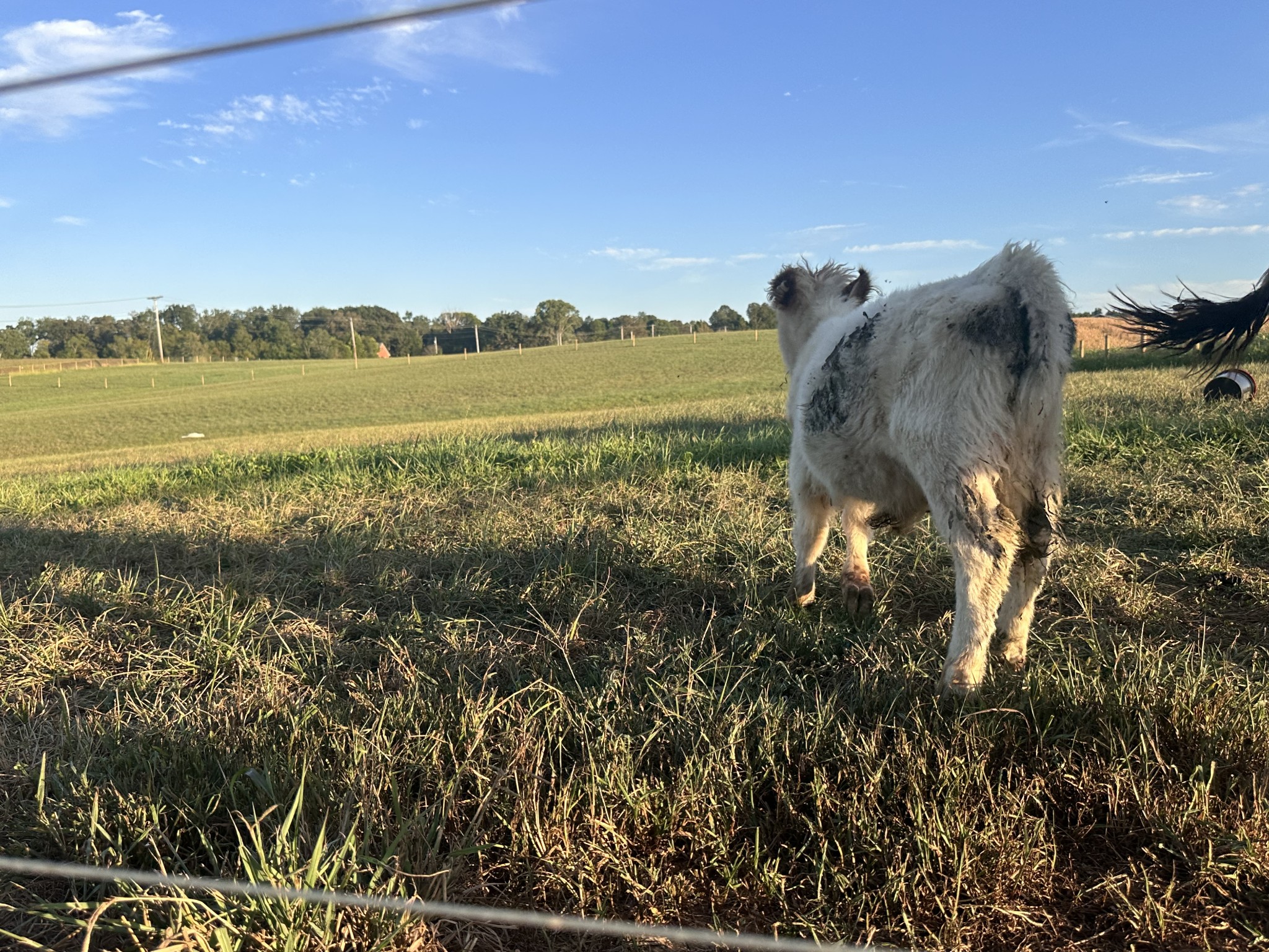 3765 S Road Cadiz, KY 42211 - Photo 76 of 78