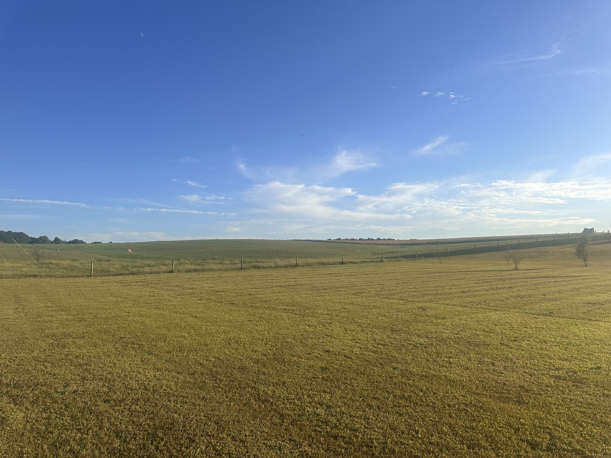 3765 S Road Cadiz, KY 42211 - Photo 77 of 78 a view of an ocean