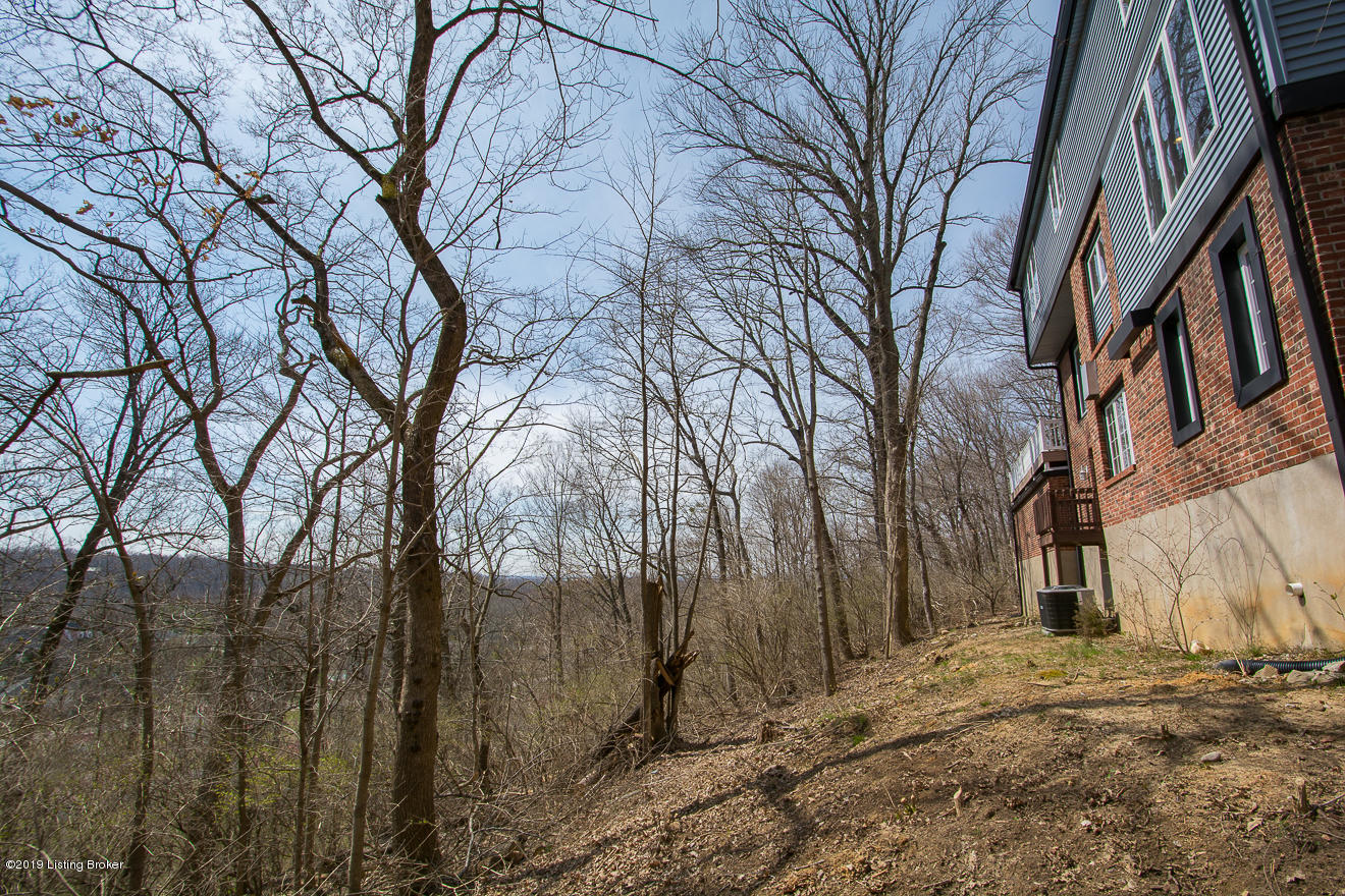 7305 Fox Harbor Road Prospect, KY 40059 - Photo 60 of 64 Rear of home