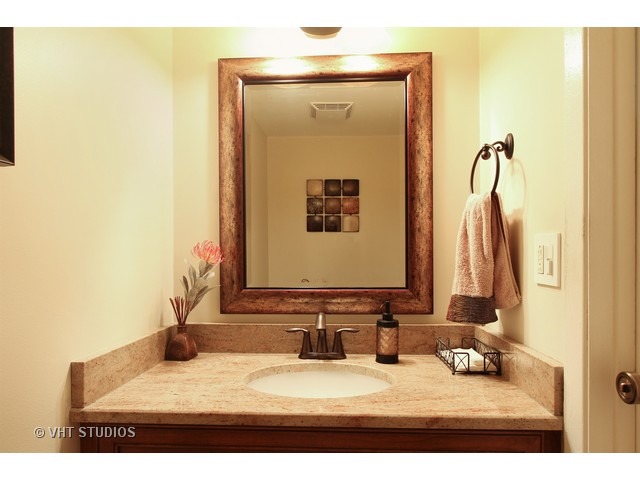 910 Dannet Road Buffalo Grove, IL 60089 - Photo 21 of 25 a bathroom with a granite countertop sink and a mirror
