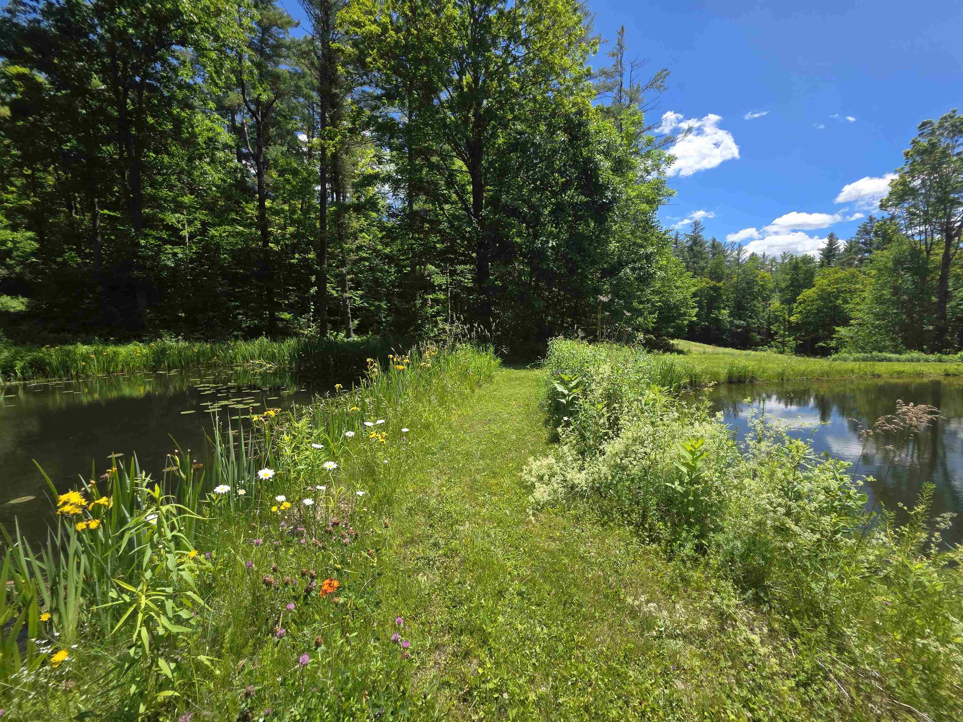 596 4 Chimneys Road Grafton, VT 05146 - Photo 38 of 50