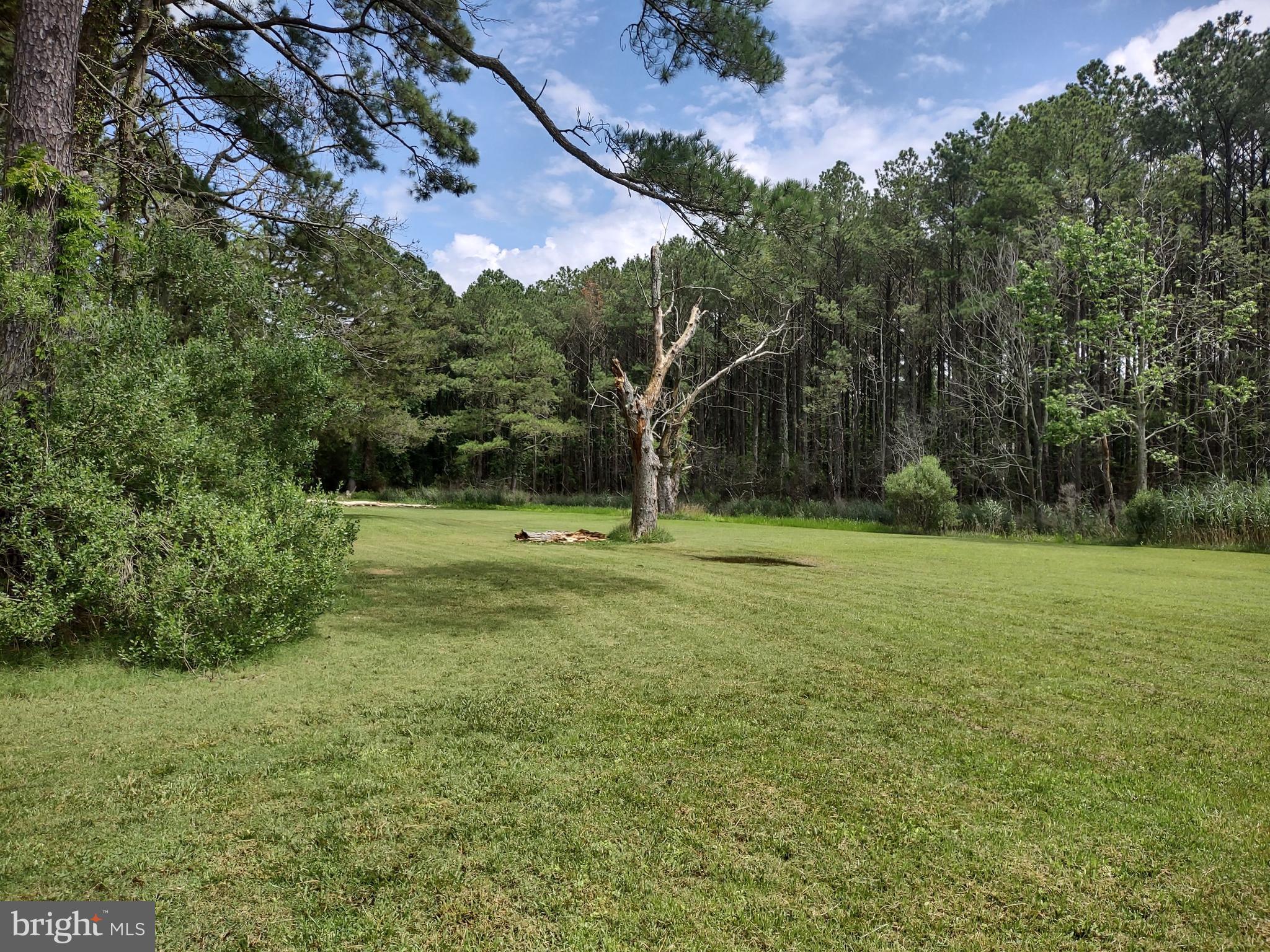 3175 Boone Road Crisfield, MD 21817 - Photo 5 of 22 Backyard