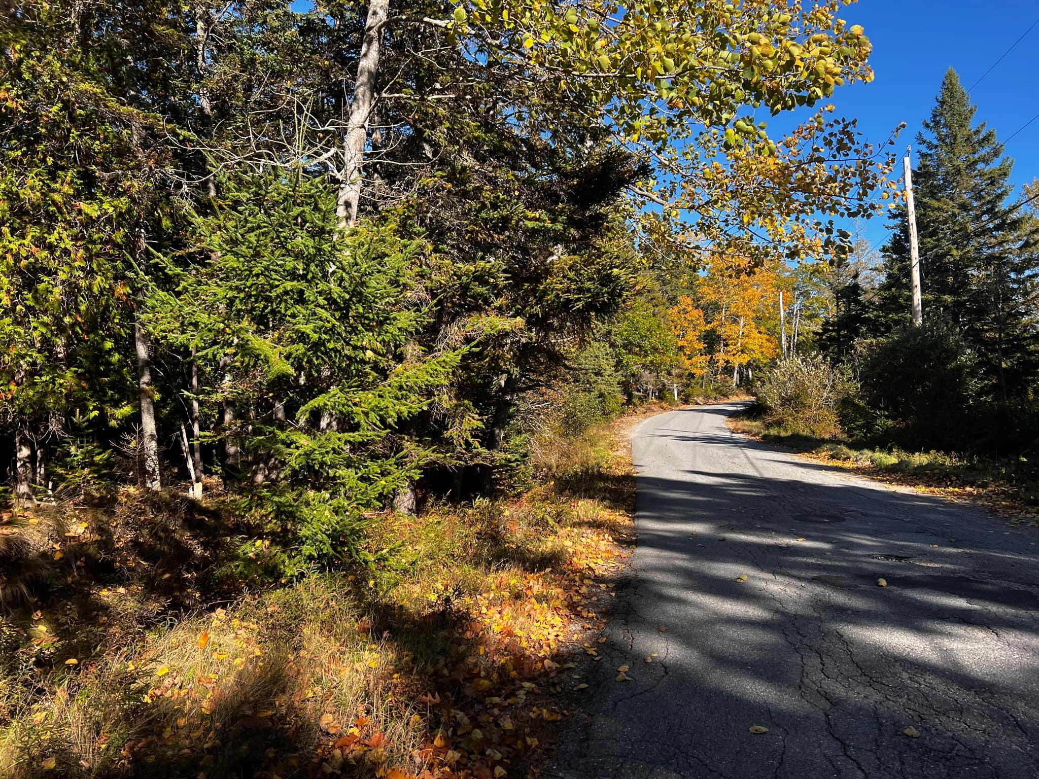 13-8 Fish Creek Road Deer Isle, ME 04627 - Photo 6 of 8 ford 4