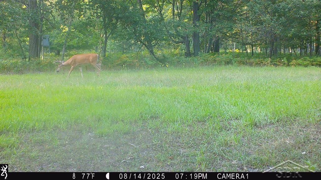 2324 Lyle Road Beaverton, MI 48612 - Photo 51 of 56 Gallery Image 51