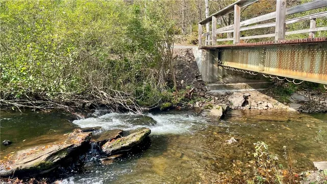 a view of a garden with a tree in the background