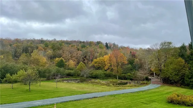 a view of a house with backyard and porch