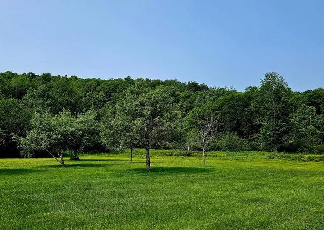 a front view of a house with garden and porch