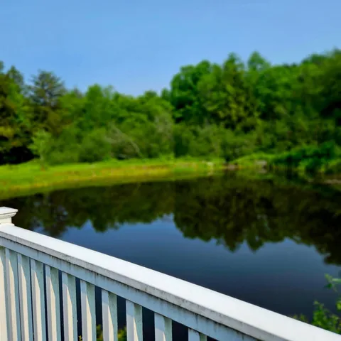 a view of a lake from a yard