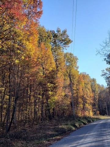 282 Mcneices Ridge Road Crossville, TN 38572 - Photo 3 of 7 20191111200148867793000000-o