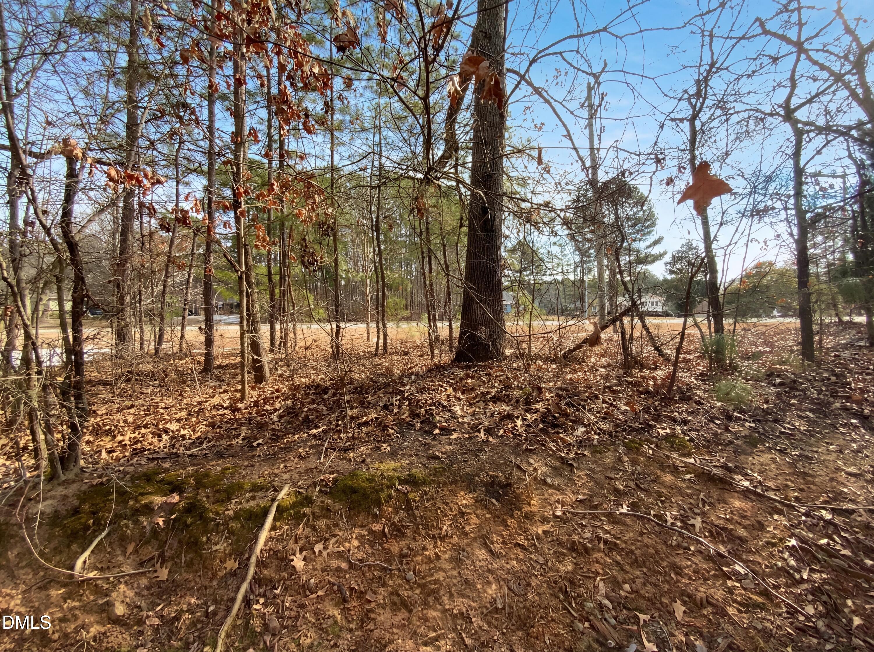 1661 Holly Grove Way Durham, NC 27713 - Photo 18 of 19 a view of yard