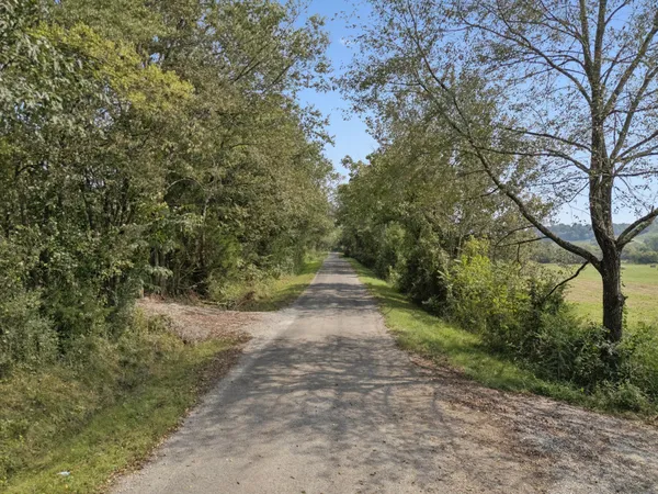 a view of a dirt pathway both side of yard