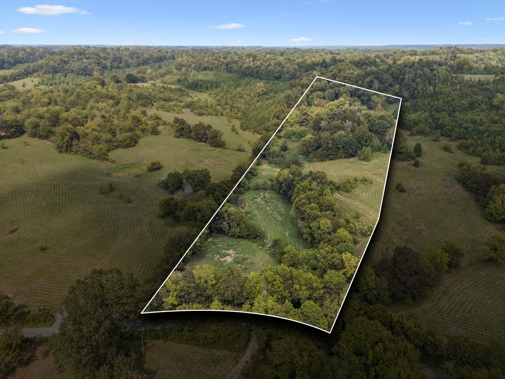 0 Shoal Creek Road Prospect, TN 38477 - Photo 4 of 10 a view of a yard